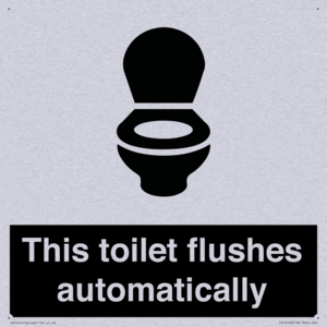 This toilet flushes automatically